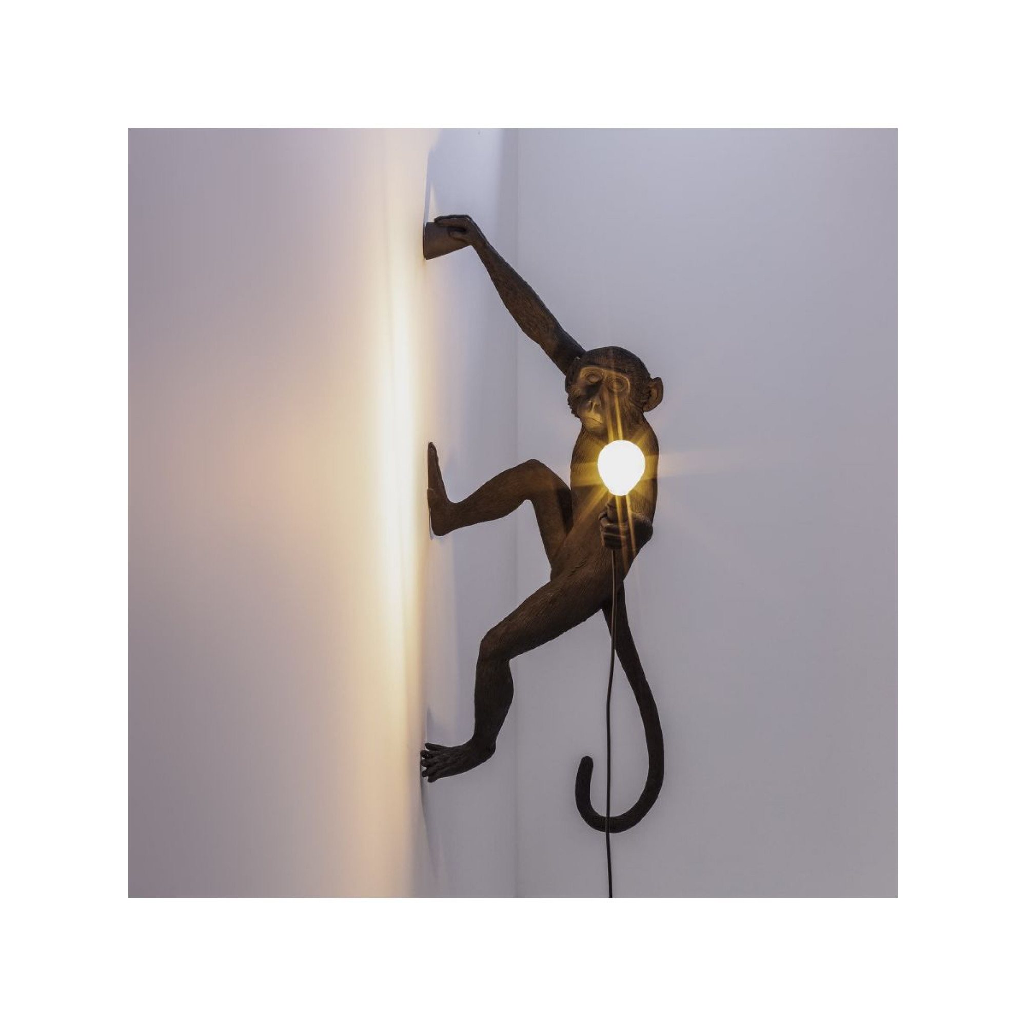 MONKEY LAMP HANGING OUTDOOR, Ceiling Lamps, Lighting